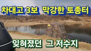 이번주는 요기요기