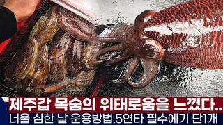 풍낚TV 제주갑 심해갑 너울심한 날의 운용법과 쉬운 입질 파악법/단차의 운용/5연타 단 하나의 필수 에기/제주 뉴그린호/Cuttlefish War