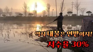 저수지 물없다고 그냥 지나치면 후회합니다 ~~아침부터 여기저기서 대물들이 쏟아진다