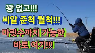 이번주는 오디  요기~