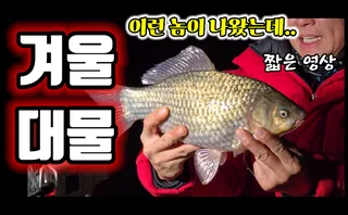 겨울 대물 붕어 출현//하지만 낚시 불가
