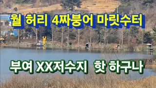 형 이번주 여기가 터질껄