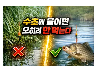 수초 옆이 아니라 밖에서 먹습니다