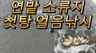26년 연밭 소류지에서 얼음낚시 #fishing #붕어낚시 #얼음낚시