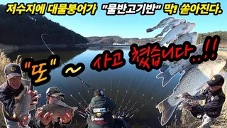 또  찾았다 대물붕어가 바글바글