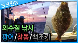 광어 낚시 영상선상 유동형 외수질 채비