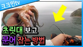 문어 낚시 영상고흥 에깅 낚시 선상