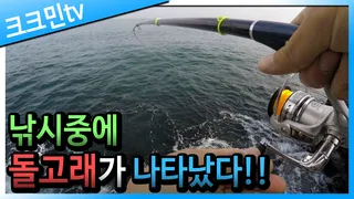 붕킬채비 갯바위 낚시제주