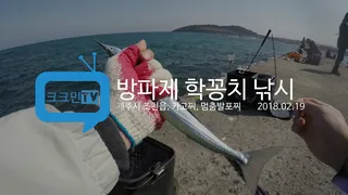 방파제 학꽁치 낚시제주도