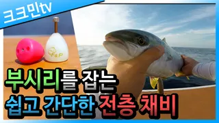 어청도로 선상 부시리 낚시를 다녀왔습니다