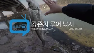 강준치 루어 낚시미노우미호천