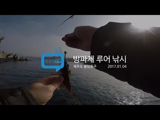 방파제&갯바위 루어 낚시제주도 용담포구