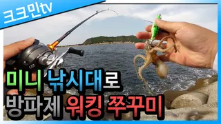 캠핑 겸 쭈꾸미 워킹낚시 다녀왔습니다