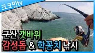 갯바위 낚시 영상군산