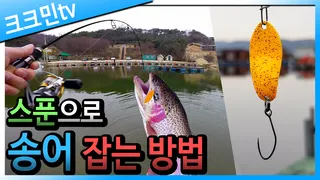 송어 낚시 2편도나 스푼