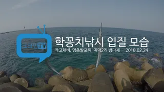 학꽁치 낚시 입질 모습카고채비