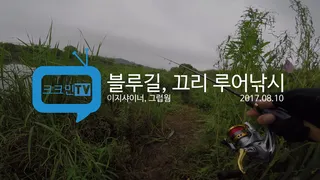 블루길 끄리 루어낚시진위천 진위1교