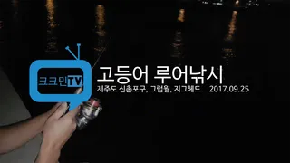 고등어 루어낚시제주도 신촌포구