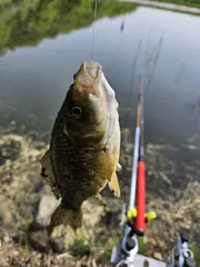 좌대용 3단 받침틀을 짬낚용으로 바꿔봤어요