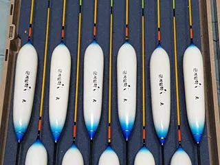 다대편성시 같은찌들이  섞인다면? +_+?  고민해 보셨죠?