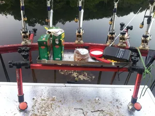 이스접지좌대와 대륙의 결합