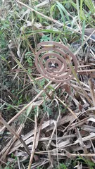 모기향 꽂이(물가에선 나무 님)