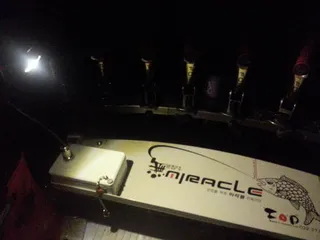 밤낚시용 지렁이 LED등 자작품 사용기