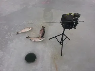 자동 얼음루어 낚시