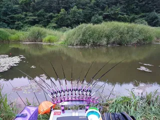 레전드 받침틀 사용기