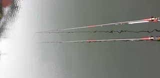 몽컴 장만하고 첫 출조