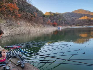 청풍실리곡낚시터 4짜 조황입니다.