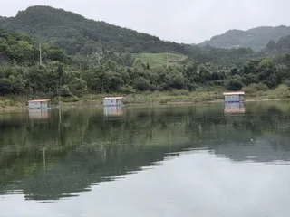 청풍 실리곡낚시터 42cm 조황입니다.