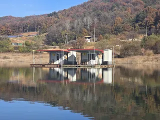 청풍 한버들 조황입니다(호조황)