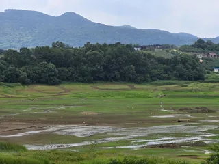 청풍 한버들 조황입니다