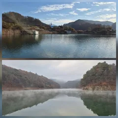 청풍신리낚시터 조황입니다