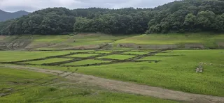 신매낚시터 6월 29일 조황