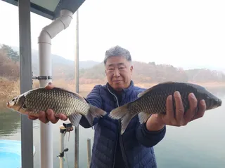 돌감낚시터 조황입니다.