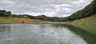 청풍신리 조황입니다