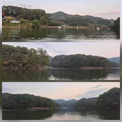 청풍신리낚시터 조황입니다