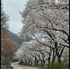 종점 낚시터 입니다