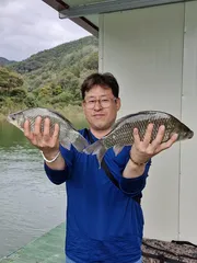 사오리 낚시터 조황정보