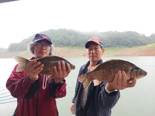 돌감낚시터 4짜 및 붕어조황입니다.