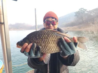 돌감낚시터 4짜 및 조황입니다.