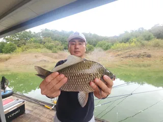 돌감낚시터 조황입니다.