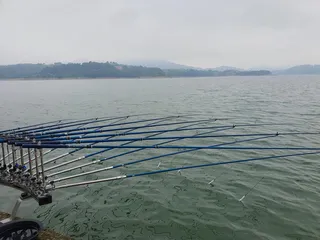 김기호 낚시터 조황정보 입니다