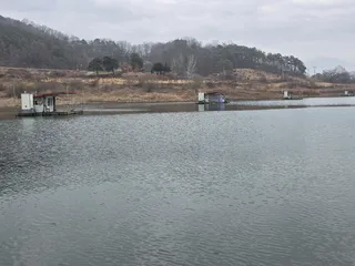 청풍 한버들조황입니다(~~)