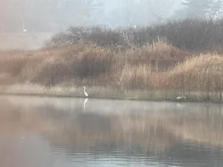 청풍 한버들 조황입니다