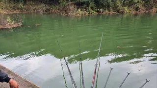 덕곡낚시터 조황정보 입니다. 