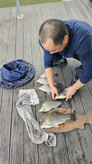 덕곡낚시터 조황정보 입니다.