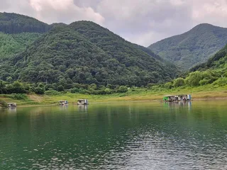 용곡 김기호 낚시터 조황정보 입니다